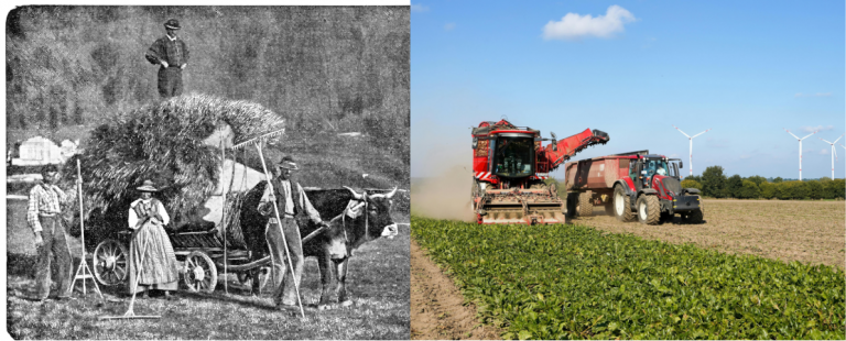 Von frisch zu verarbeitet..